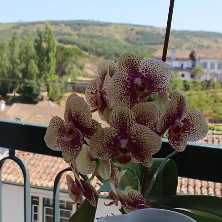 A Moderna - Casa Dos Serpas Lejlighedshotel